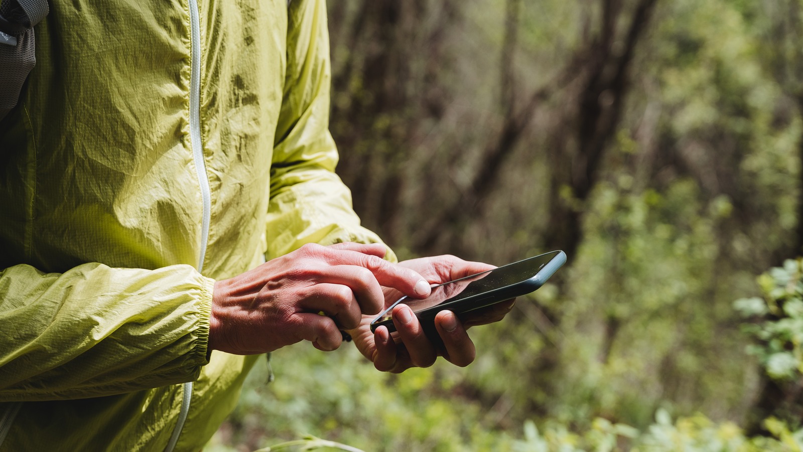 Person using Android smartphone outdoors in nature setting