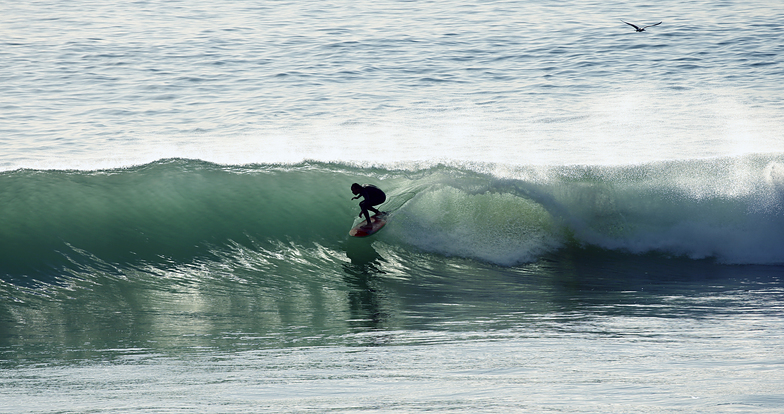 Surfeur sur une vague à Safi au Maroc