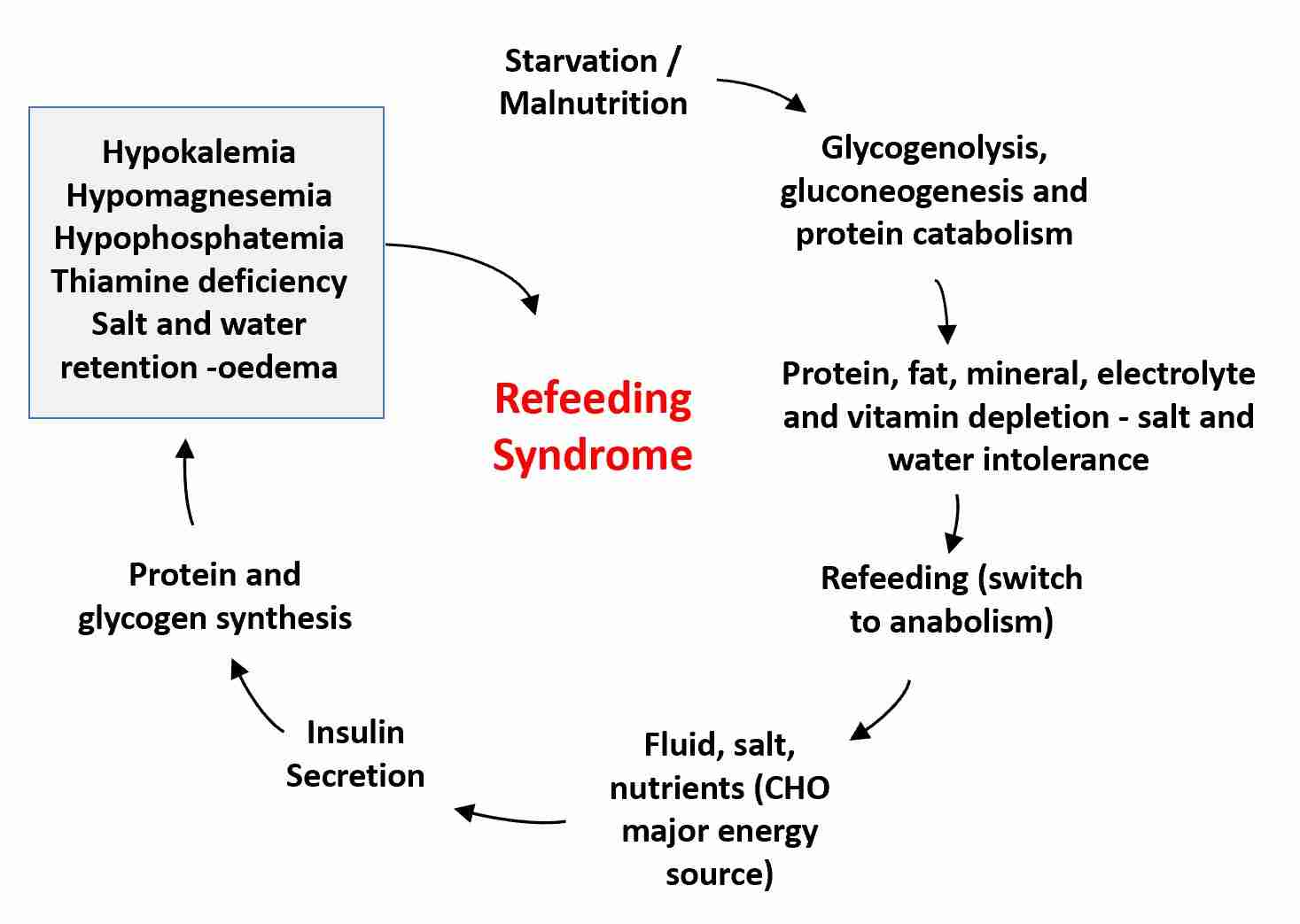 Abstract cellular metabolism background for refeeding syndrome