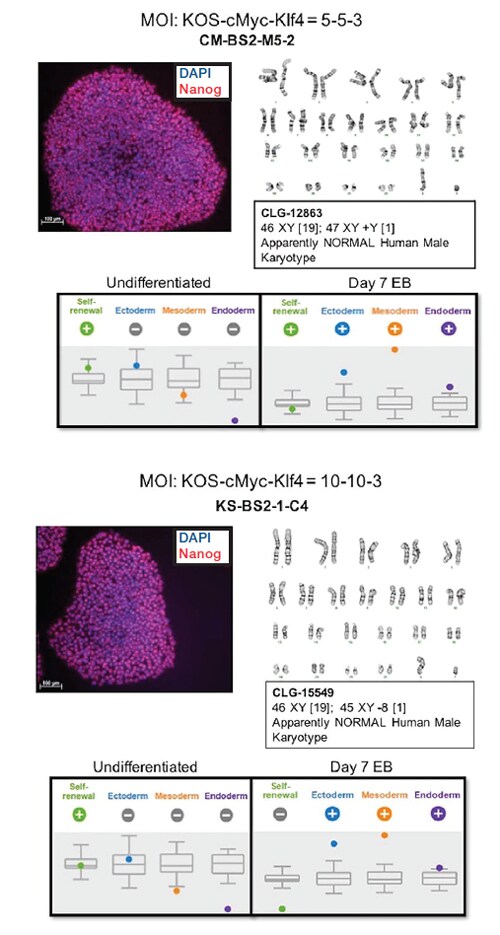 细胞重编程技术示意图