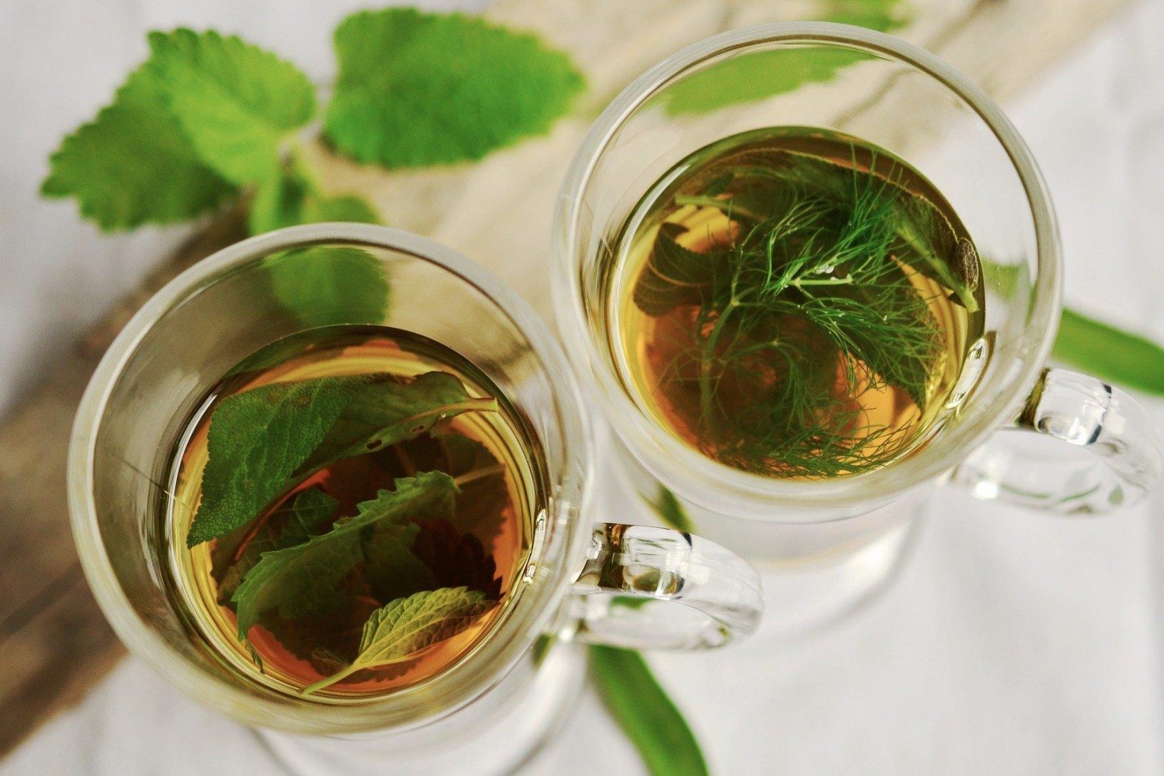 Fresh herbal tea in glass cups with green leaves