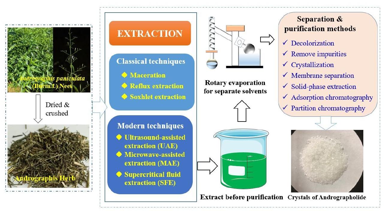 Proses ekstraksi bahan herbal menggunakan teknologi dual-phase