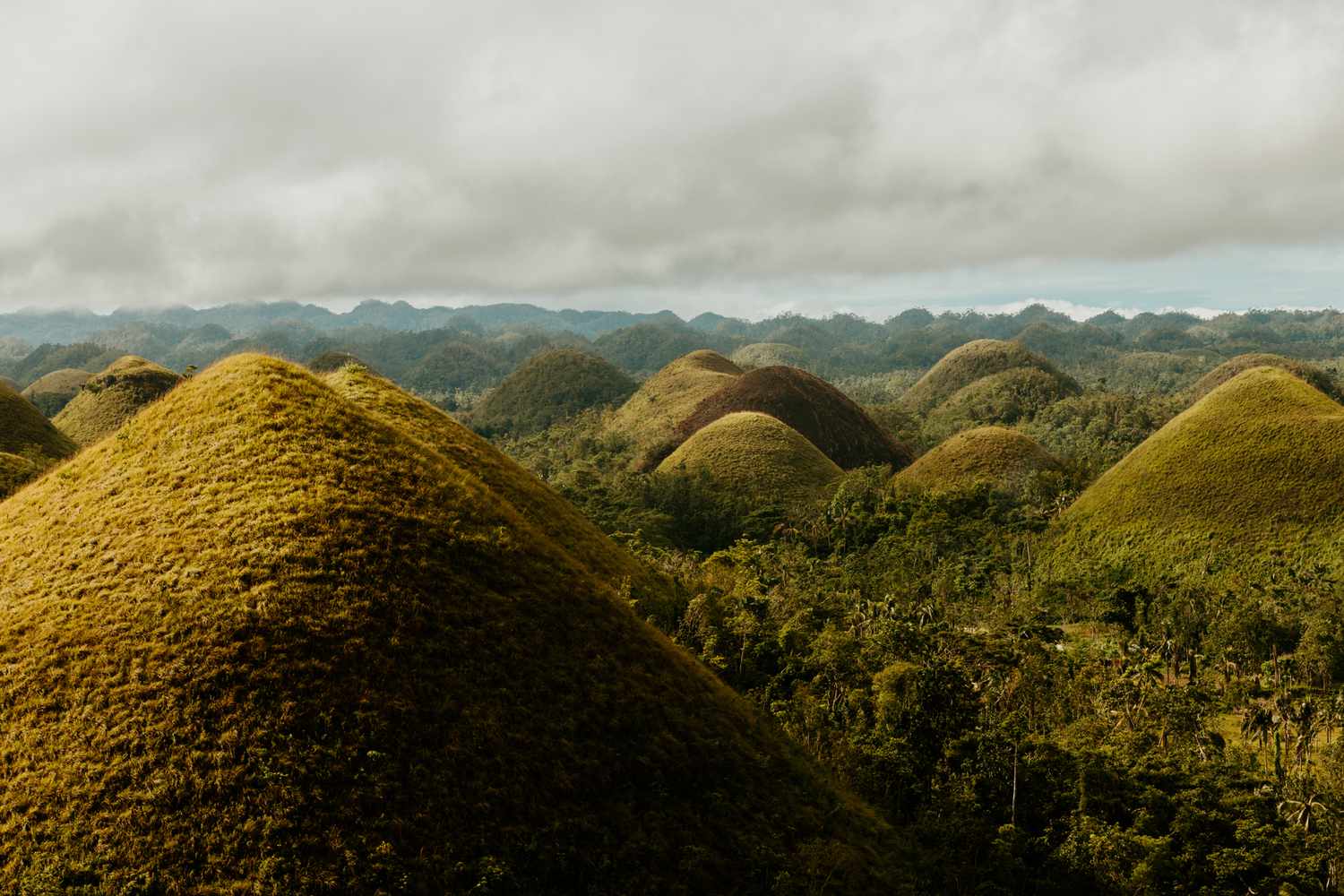 Chocolate Hills