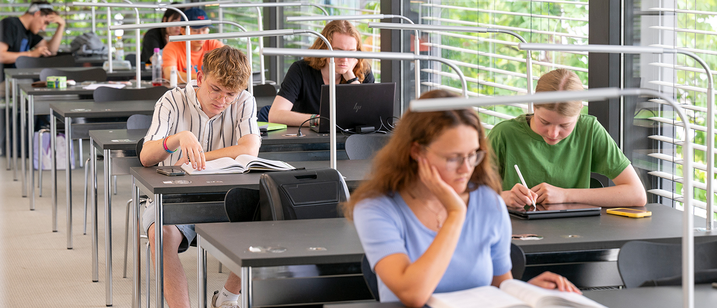 Students studying in university library