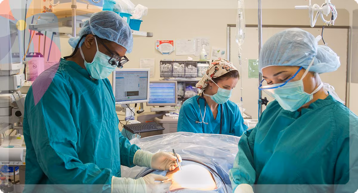 Pediatric Surgical Services | UNC Children's | Chapel Hill, NC