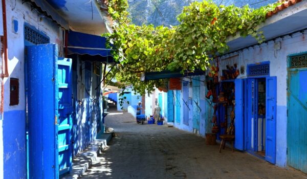 Ruelle bleue de Chefchaouen avec plantes grimpantes