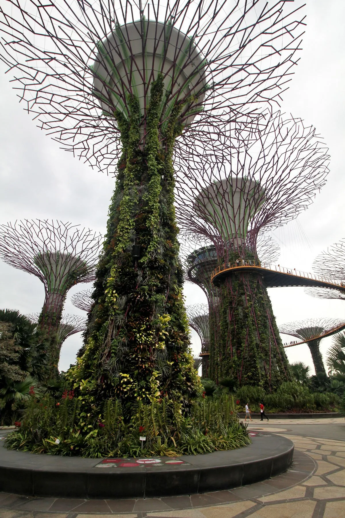 Marina Bay Sands and Supertree Grove in Singapore