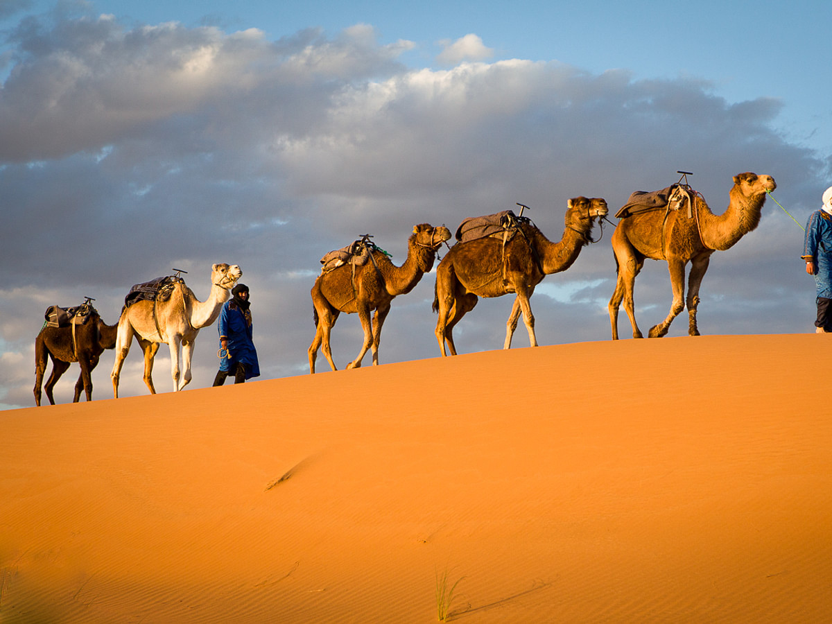 Ancient Ghana Camel Caravan