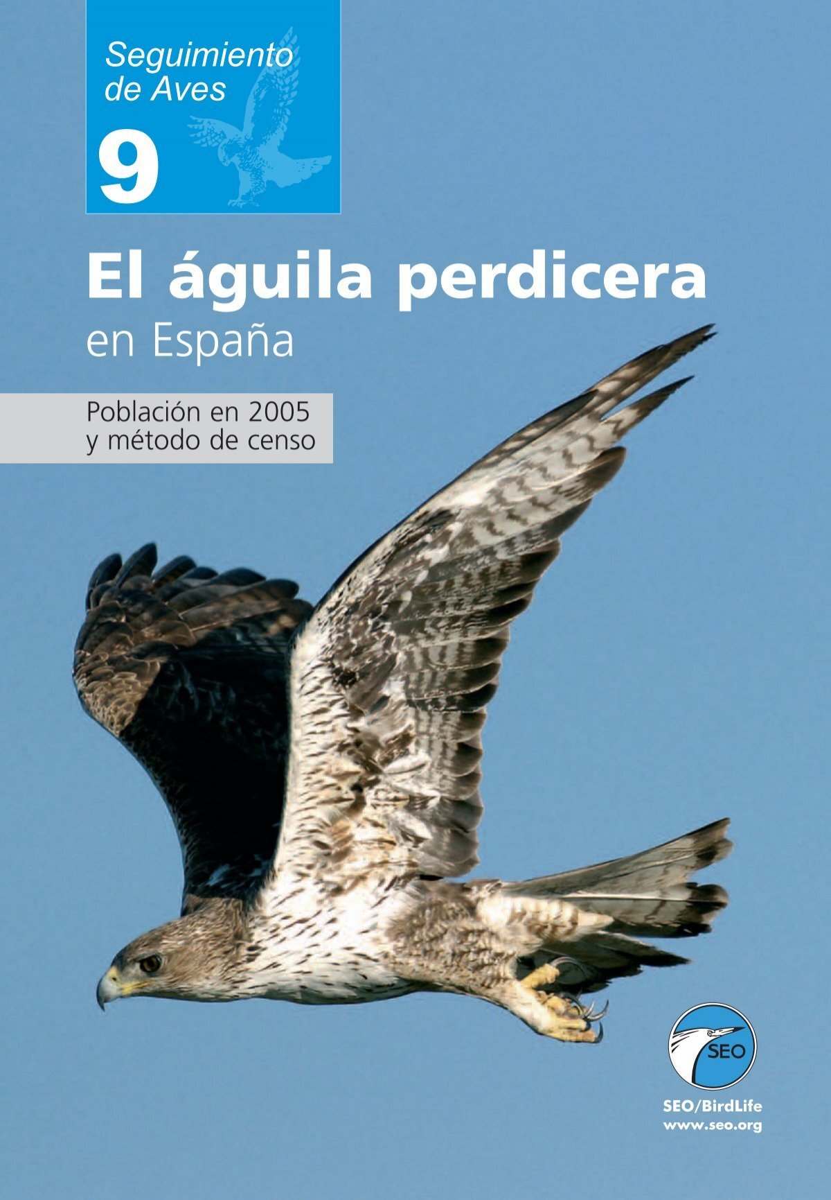 Águila perdicera planeando en el cielo