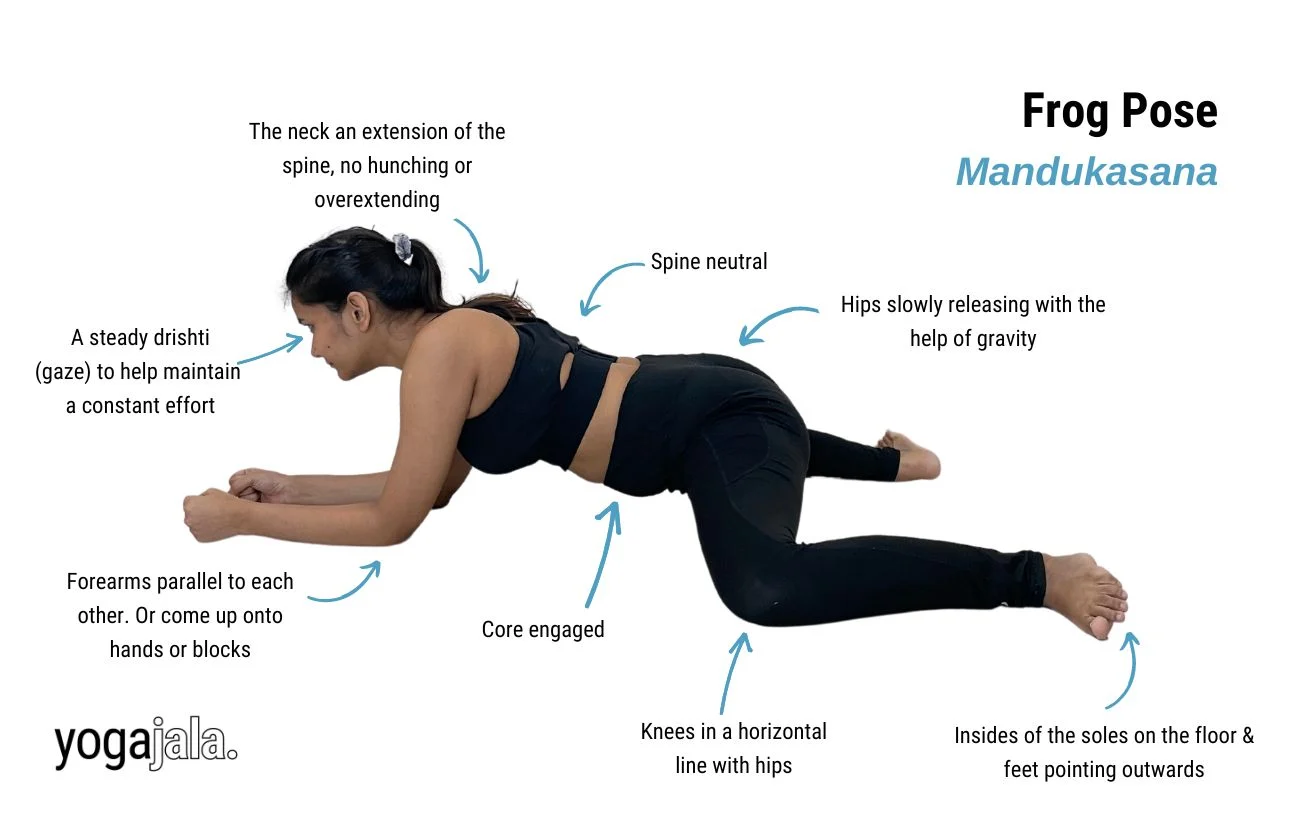 Frog Pose (Mandukasana) (2026)